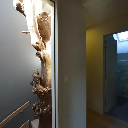 Enchanting In , Cleaning Included Waimes